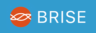 BRISE